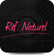 agence de r&eacute;f&eacute;rencement naturel sur Google