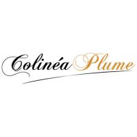 logo-colineaplume